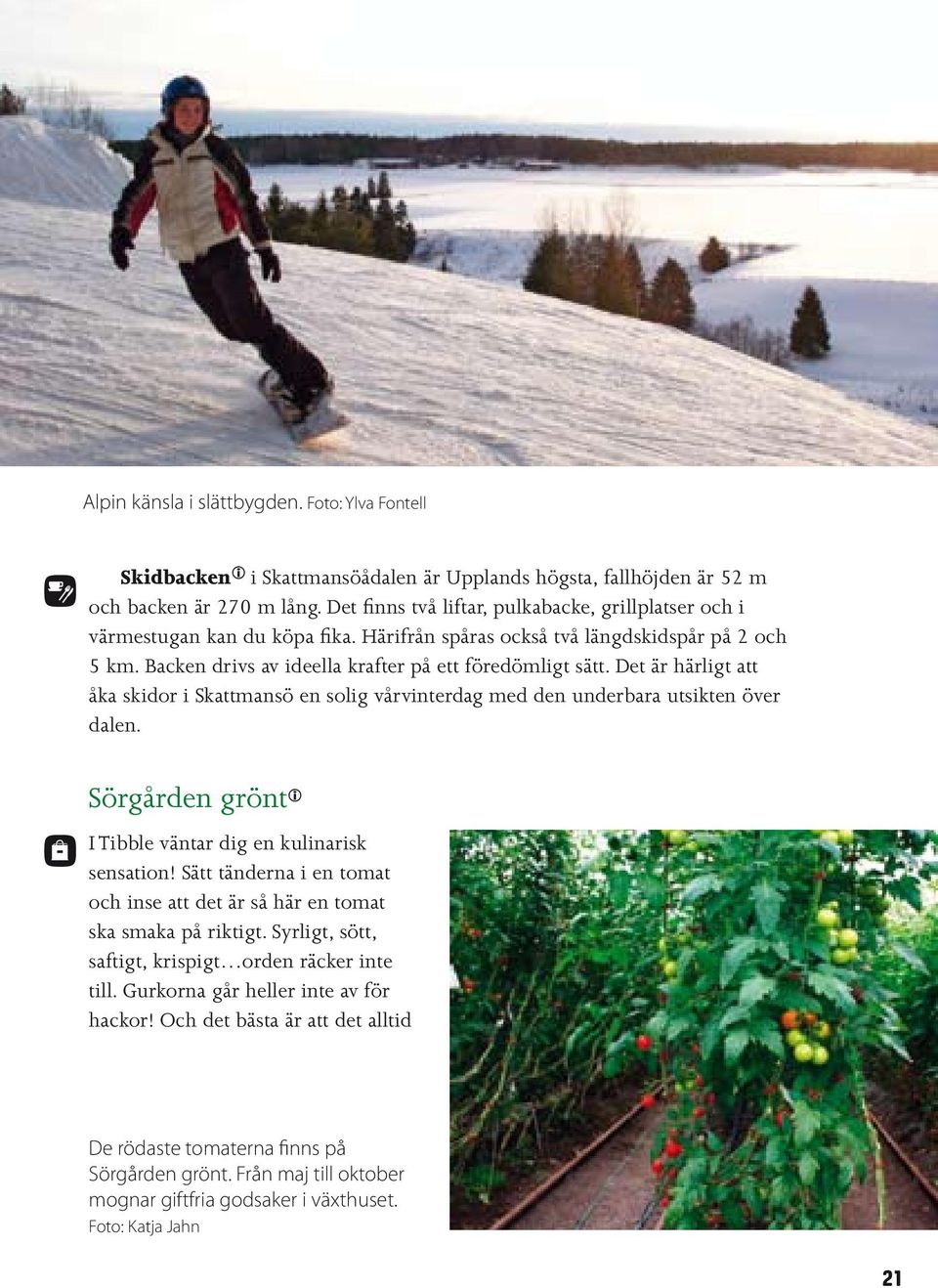 Det är härligt att åka skidor i Skattmansö en solig vårvinterdag med den underbara utsikten över dalen. Sörgården grönt i I Tibble väntar dig en kulinarisk sensation!