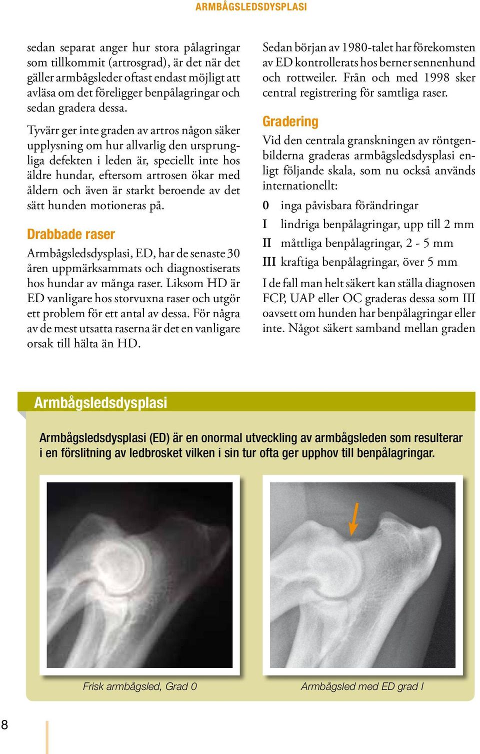 Tyvärr ger inte graden av artros någon säker upplysning om hur allvarlig den ursprungliga defekten i leden är, speciellt inte hos äldre hundar, eftersom artrosen ökar med åldern och även är starkt