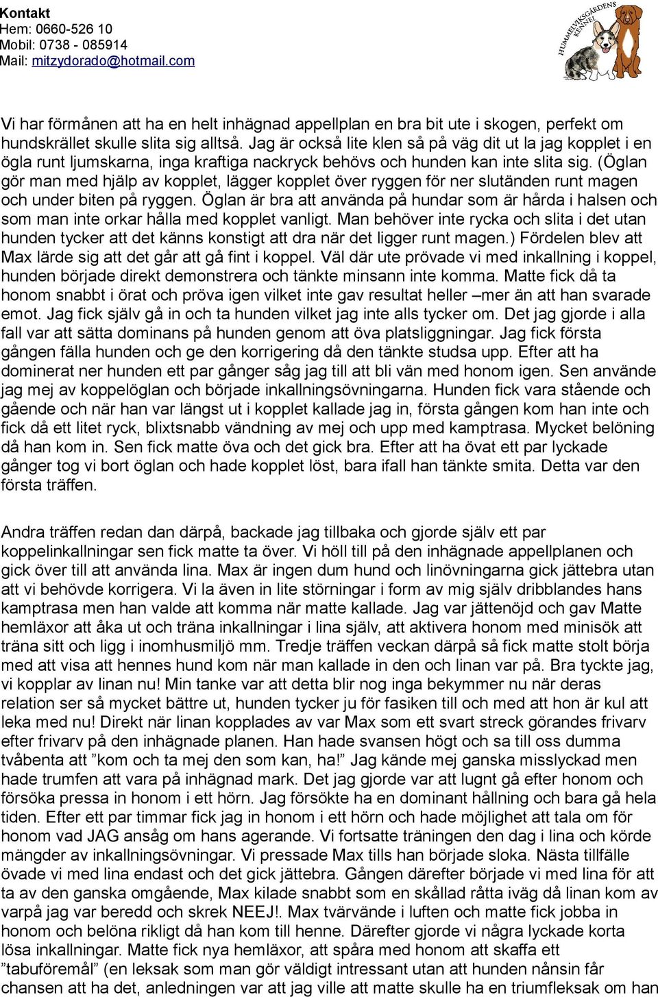 (Öglan gör man med hjälp av kopplet, lägger kopplet över ryggen för ner slutänden runt magen och under biten på ryggen.