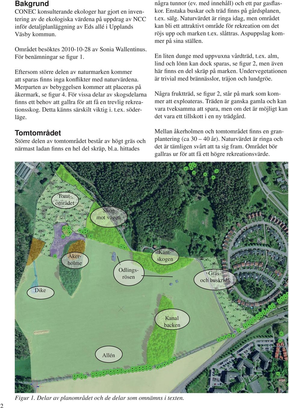 Merparten av bebyggelsen kommer att placeras på åkermark, se figur 4. För vissa delar av skogsdelarna finns ett behov att gallra för att få en trevlig rekreationsskog. Detta känns särskilt viktig i.