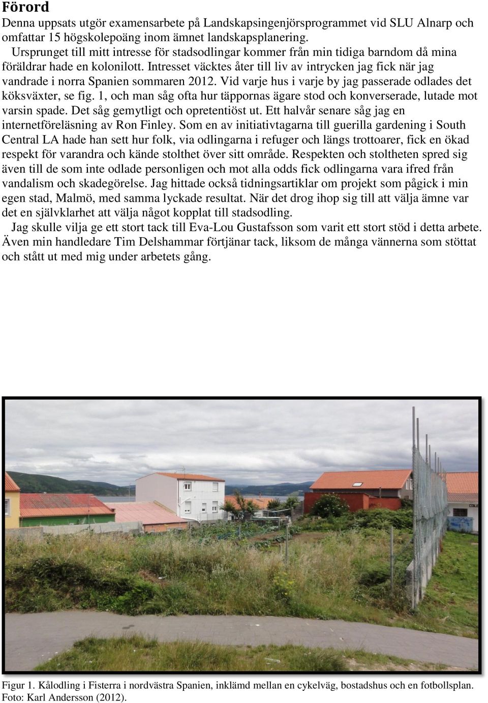Intresset väcktes åter till liv av intrycken jag fick när jag vandrade i norra Spanien sommaren 2012. Vid varje hus i varje by jag passerade odlades det köksväxter, se fig.