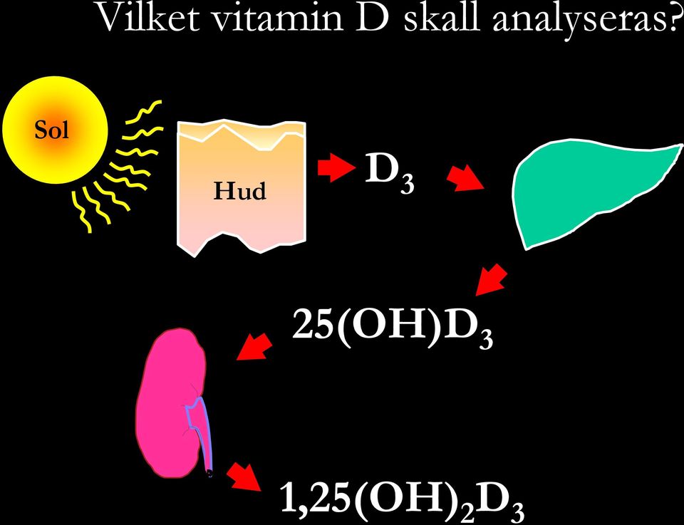 Sol Hud D 3