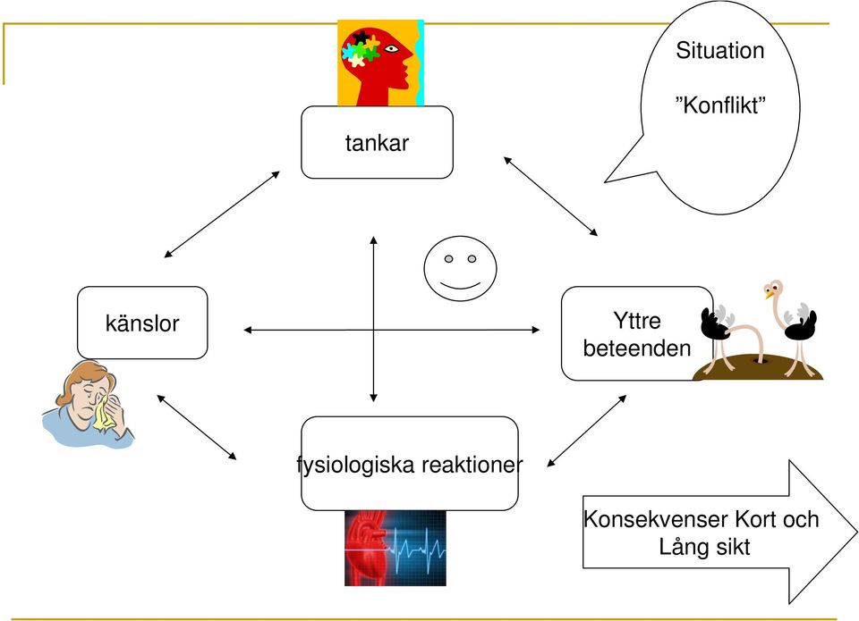 fysiologiska reaktioner