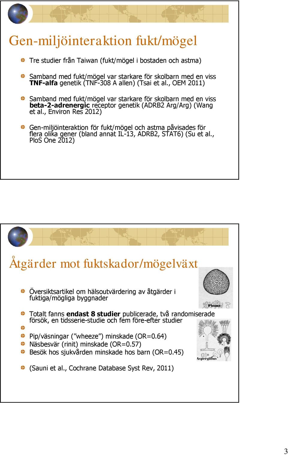 , Environ Res 2012) Gen-miljöinteraktion för fukt/mögel och astma påvisades för flera olika gener (bland annat IL-13, ADRB2, STAT6) (Su et al.