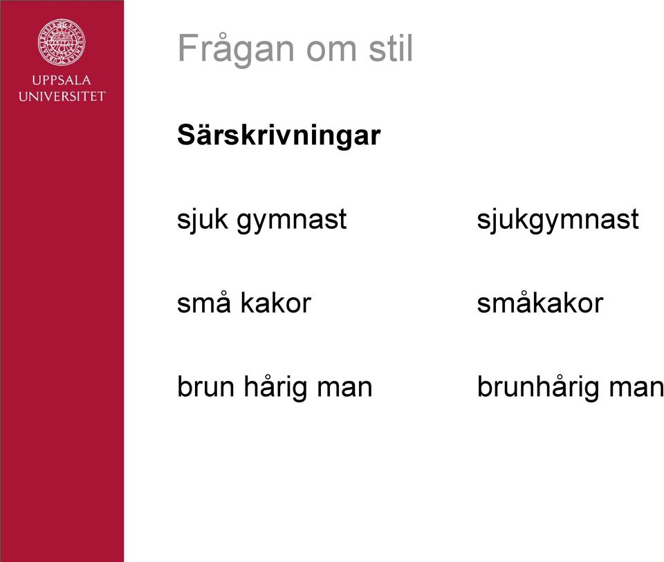 gymnast sjukgymnast små