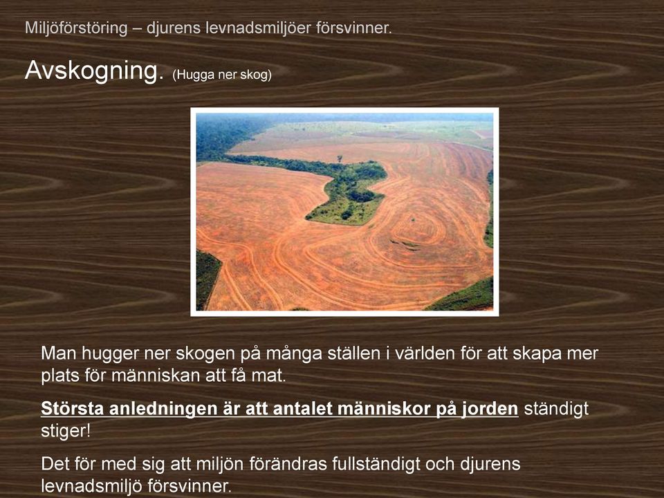 (Hugga ner skog) Man hugger ner skogen på många ställen i världen för att skapa mer