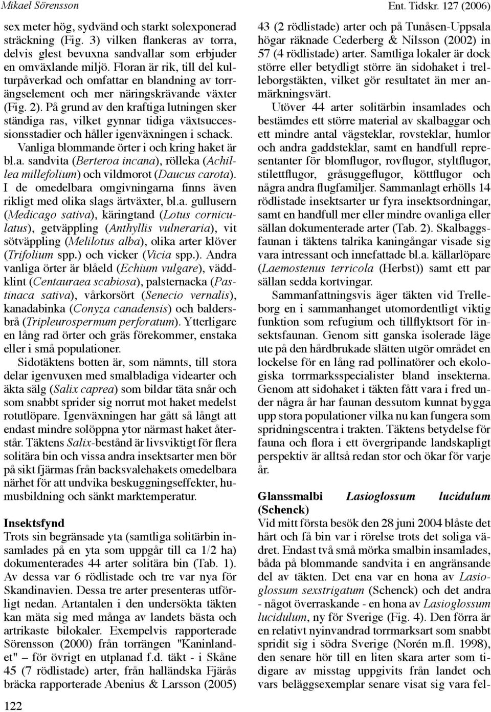 På grund av den kraftiga lutningen sker ständiga ras, vilket gynnar tidiga växtsuccessionsstadier och håller igenväxningen i schack. Vanliga blommande örter i och kring haket är bl.a. sandvita (Berteroa incana), rölleka (Achillea millefolium) och vildmorot (Daucus carota).