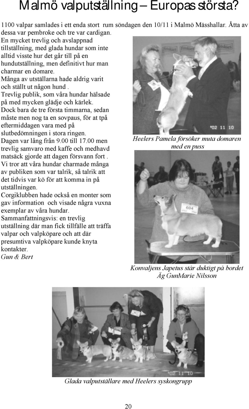 Många av utställarna hade aldrig varit och ställt ut någon hund. Trevlig publik, som våra hundar hälsade på med mycken glädje och kärlek.