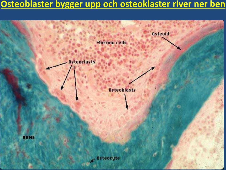 och