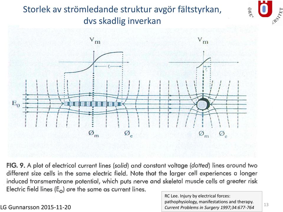 Injury by electrical forces: pathophysiology,