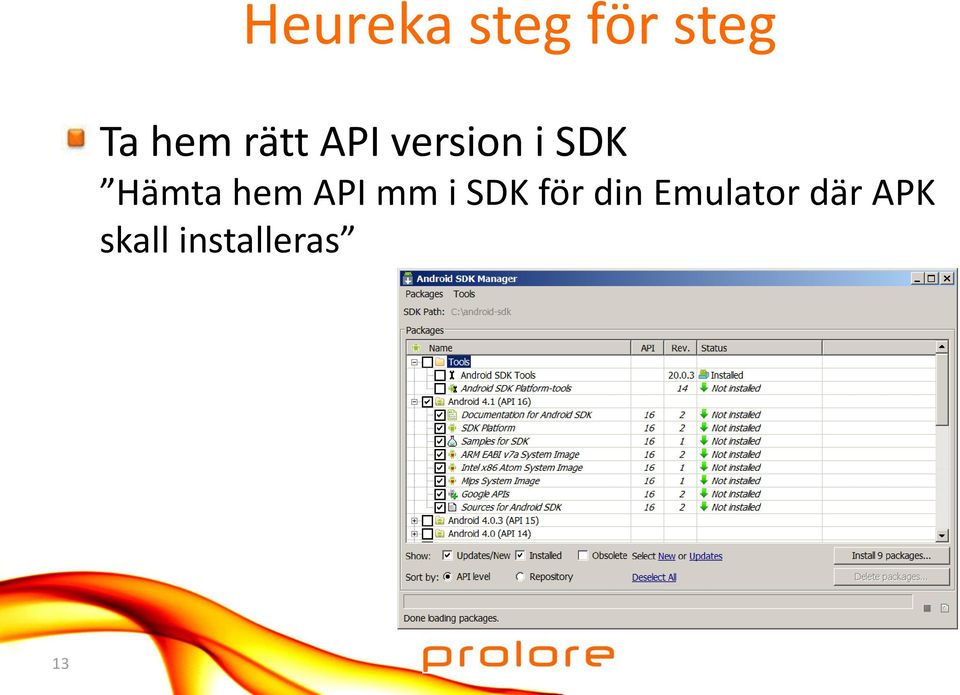 SDK för din Emulator där