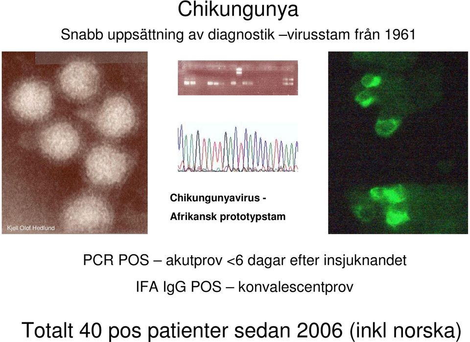 prototypstam PCR POS akutprov <6 dagar efter insjuknandet IFA