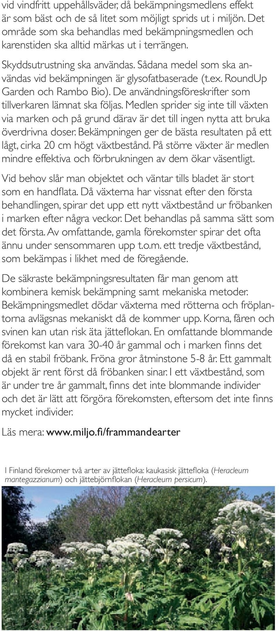 Sådana medel som ska användas vid bekämpningen är glysofatbaserade (t.ex. RoundUp Garden och Rambo Bio). De användningsföreskrifter som tillverkaren lämnat ska följas.