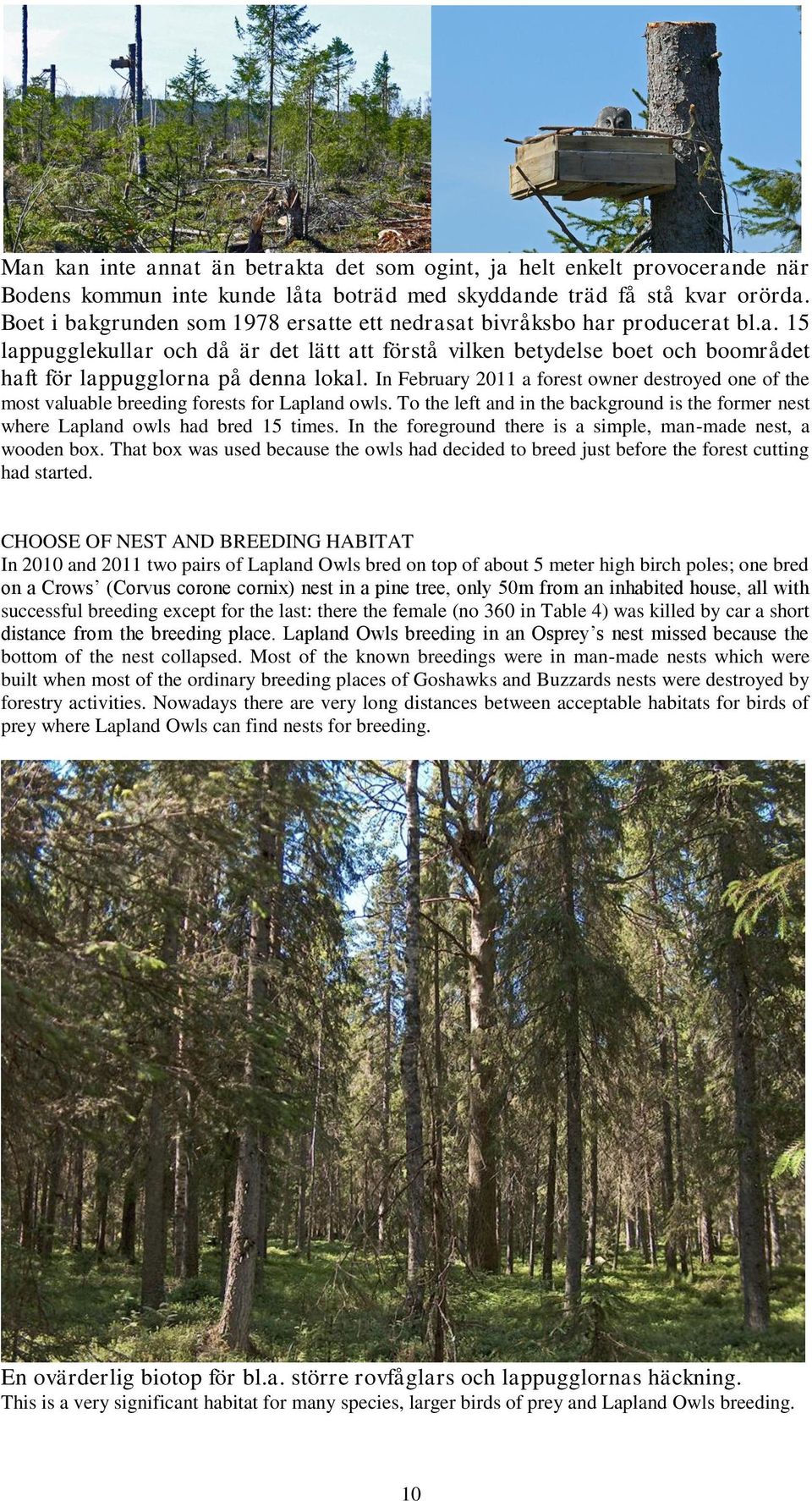 In February 2011 a forest owner destroyed one of the most valuable breeding forests for Lapland owls. To the left and in the background is the former nest where Lapland owls had bred 15 times.