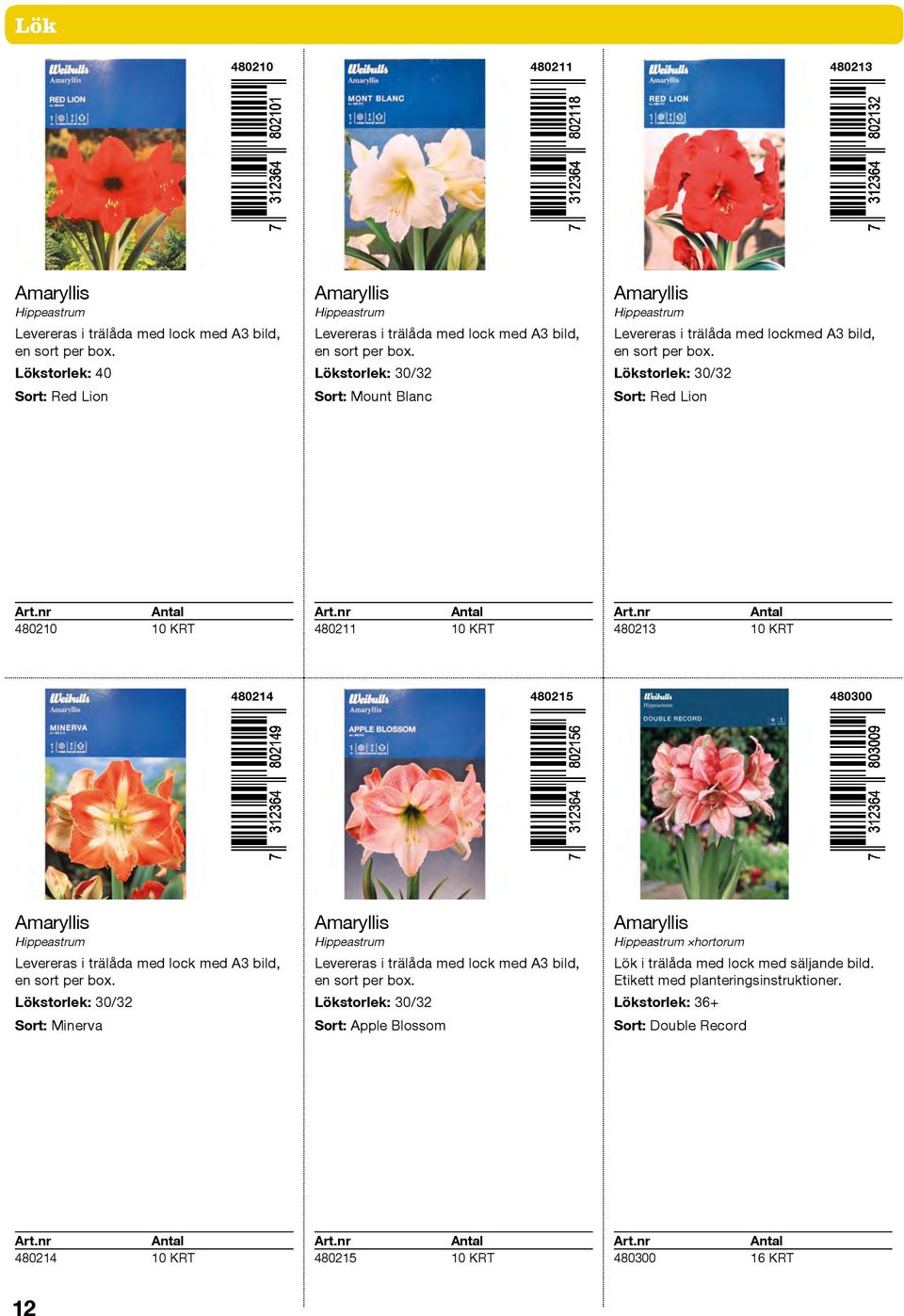 Lökstorlek: 30/32 Sort: Mount Blanc Amaryllis Hippeastrum Levereras i trälåda med lockmed A3 bild, en sort per box.