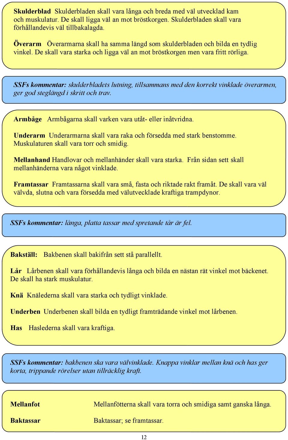 SSFs kommentar: skulderbladets lutning, tillsammans med den korrekt vinklade överarmen, ger god steglängd i skritt och trav. Armbåge Armbågarna skall varken vara utåt- eller inåtvridna.