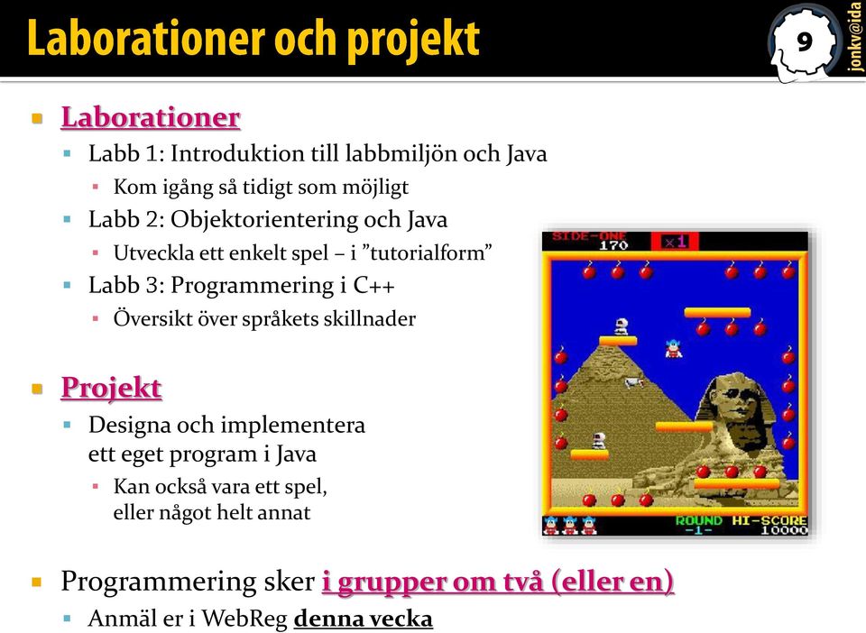 Översikt över språkets skillnader Projekt Designa och implementera ett eget program i Java Kan också