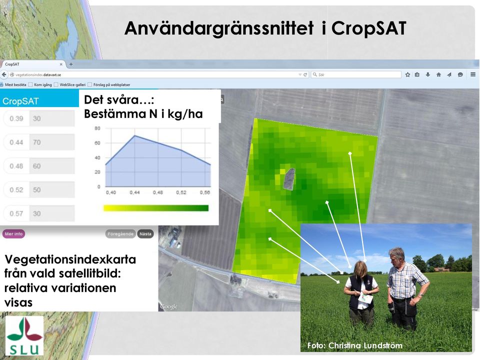 Vegetationsindexkarta från vald