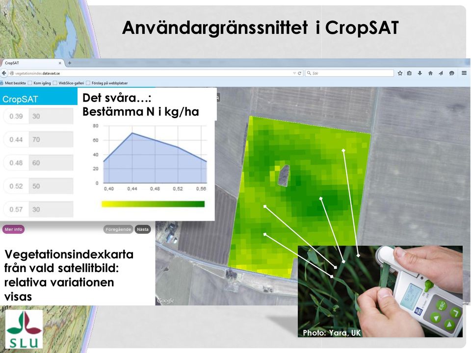 Vegetationsindexkarta från vald