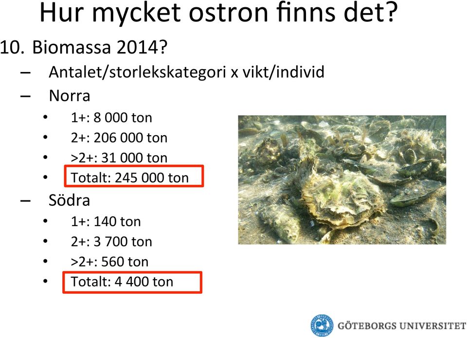 ton 2+: 206 000 ton >2+: 31 000 ton Totalt: 245 000 ton