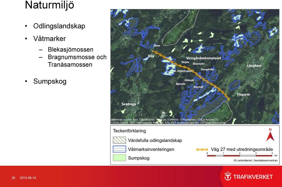 Bragnumsmosse och