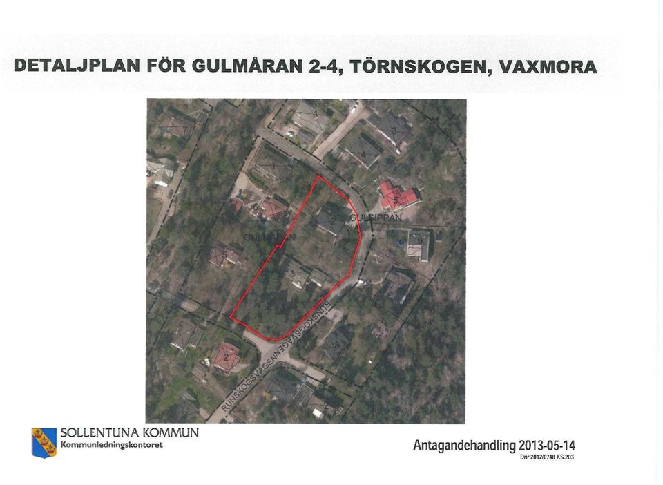 GULMÅRAN