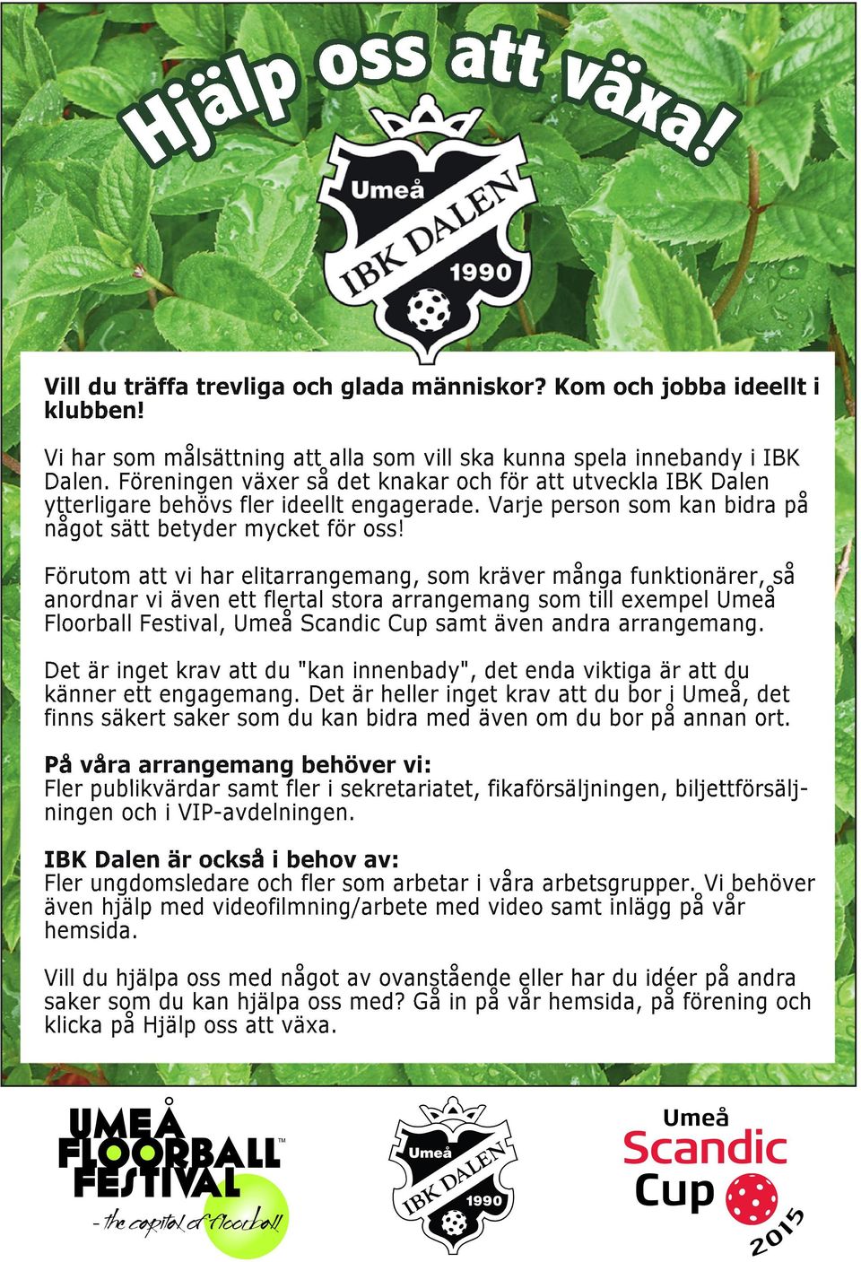 Förutom att vi har elitarrangemang, som kräver många funktionärer, så anordnar vi även ett flertal stora arrangemang som till exempel Umeå Floorball Festival, Umeå Scandic Cup samt även andra