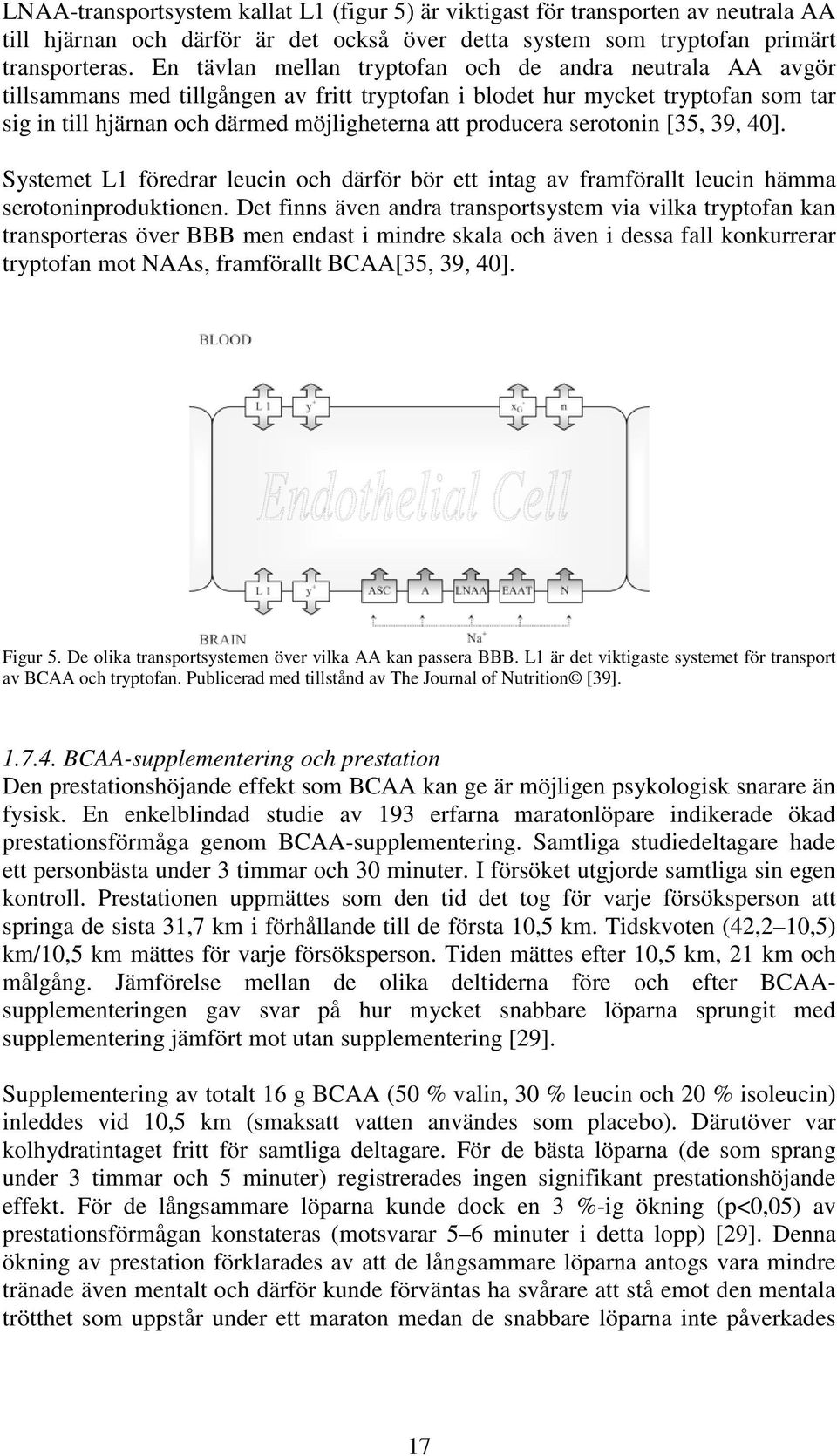 producera serotonin [35, 39, 40]. Systemet L1 föredrar leucin och därför bör ett intag av framförallt leucin hämma serotoninproduktionen.