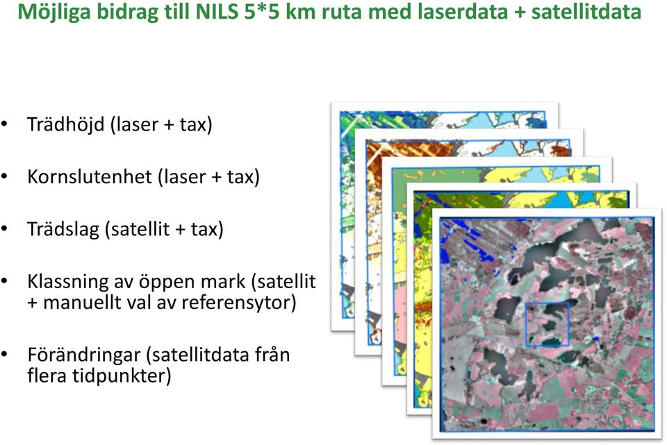 Trädslag (satellit + tax) Klassning av öppen mark (satellit +