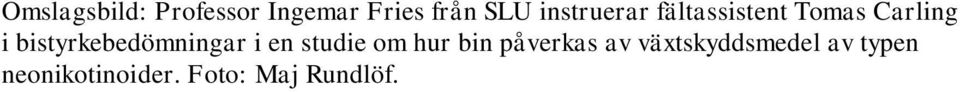bistyrkebedömningar i en studie om hur bin