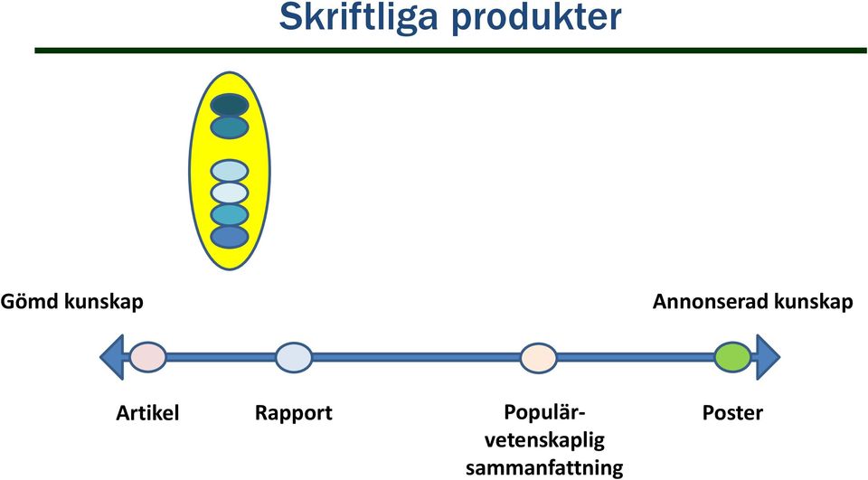 Artikel Rapport