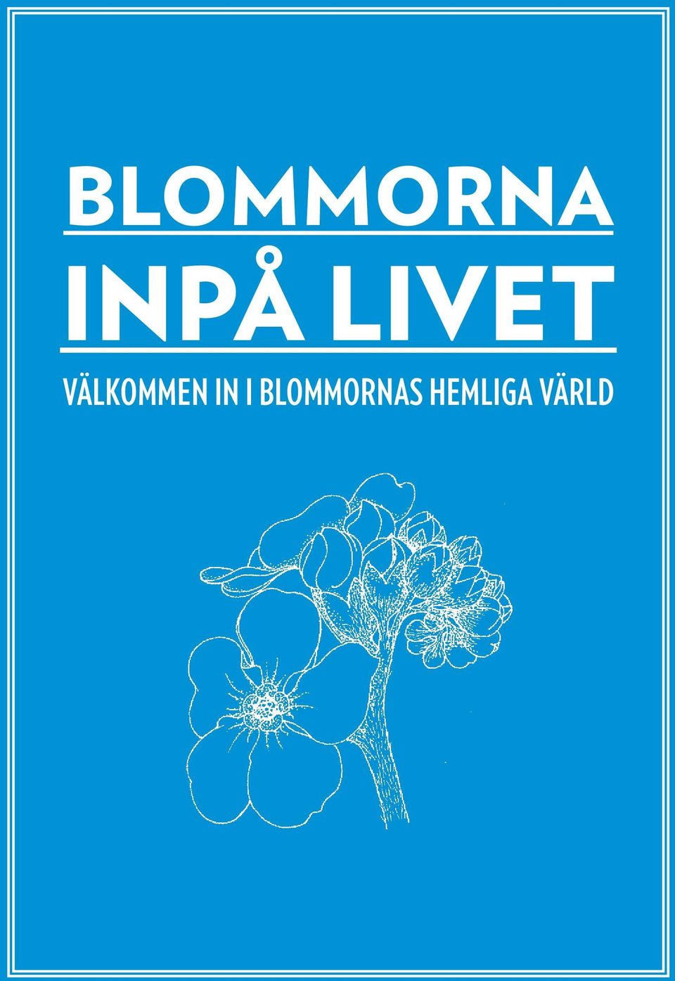 VÄLKOMMEN IN I