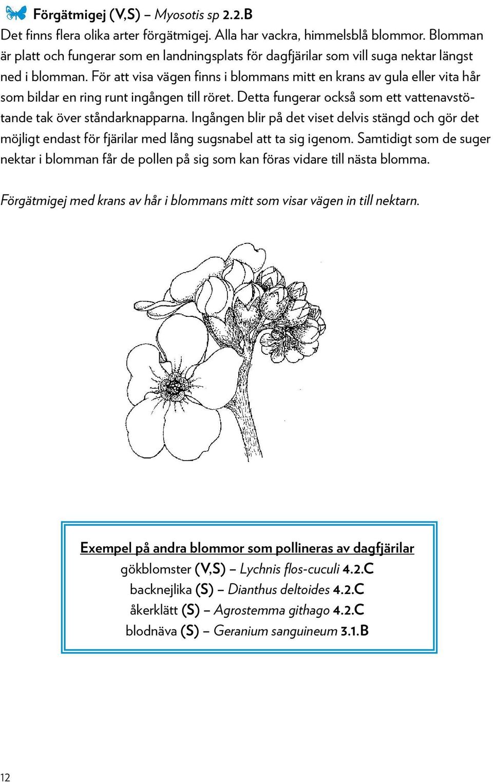 För att visa vägen finns i blommans mitt en krans av gula eller vita hår som bildar en ring runt ingången till röret. Detta fungerar också som ett vattenavstötande tak över ståndarknapparna.
