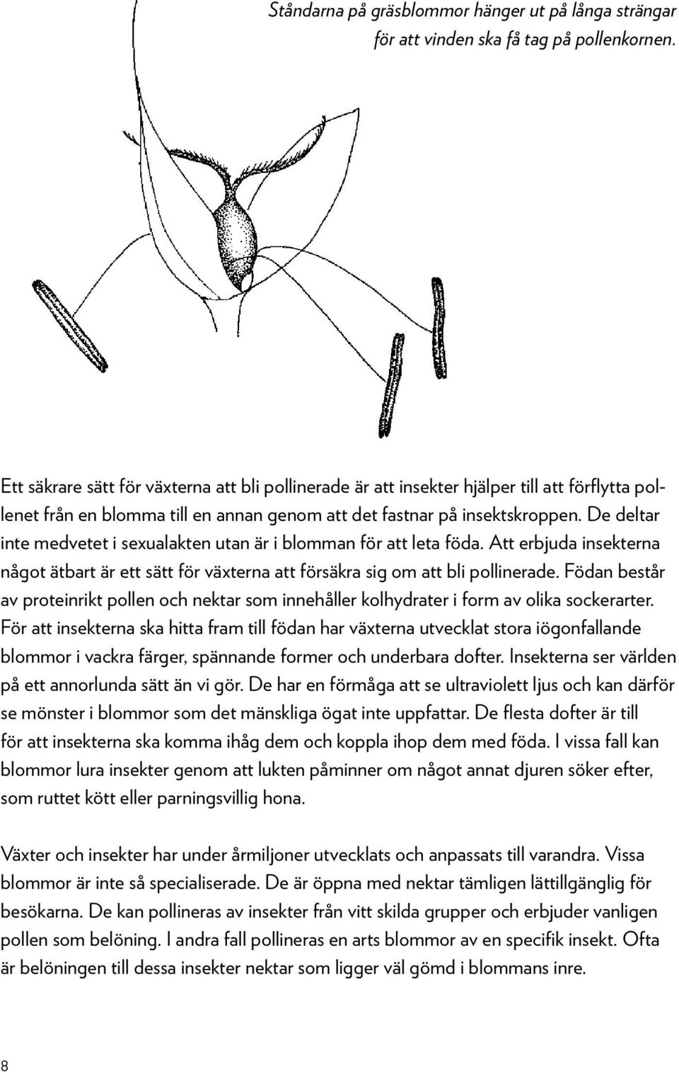 De deltar inte medvetet i sexualakten utan är i blomman för att leta föda. Att erbjuda insekterna något ätbart är ett sätt för växterna att försäkra sig om att bli pollinerade.