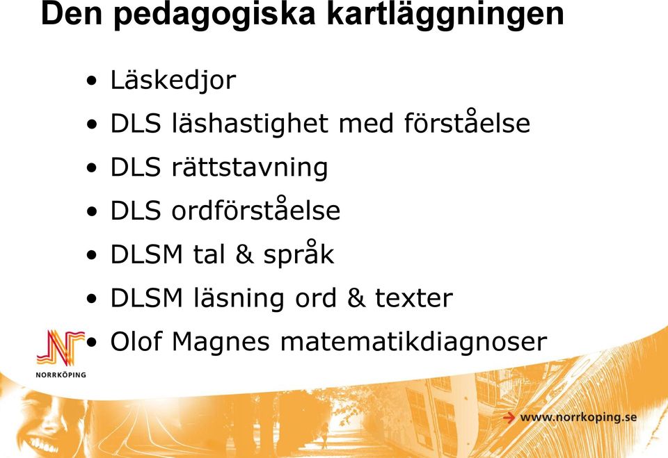 DLS ordförståelse DLSM tal & språk DLSM