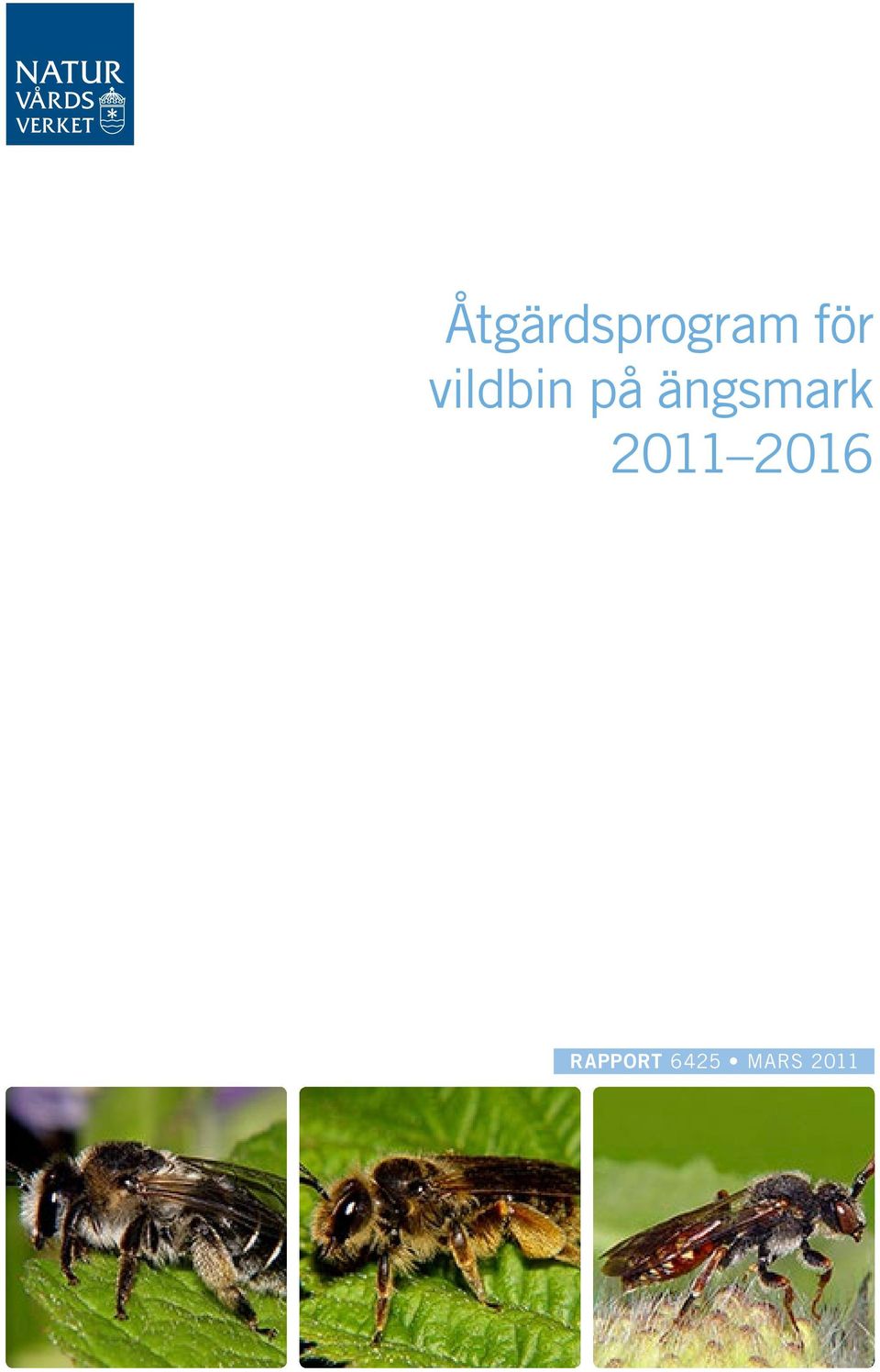 ängsmark 2011