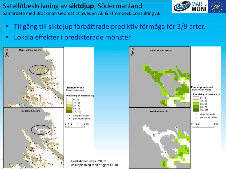 förbättrade prediktiv förmåga för 3/9 arter.