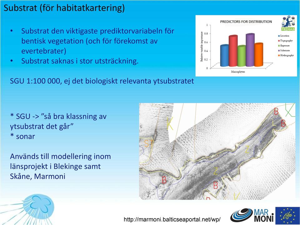 SGU 1:100 000, ej det biologiskt relevanta ytsubstratet * SGU -> så bra klassning av ytsubstrat