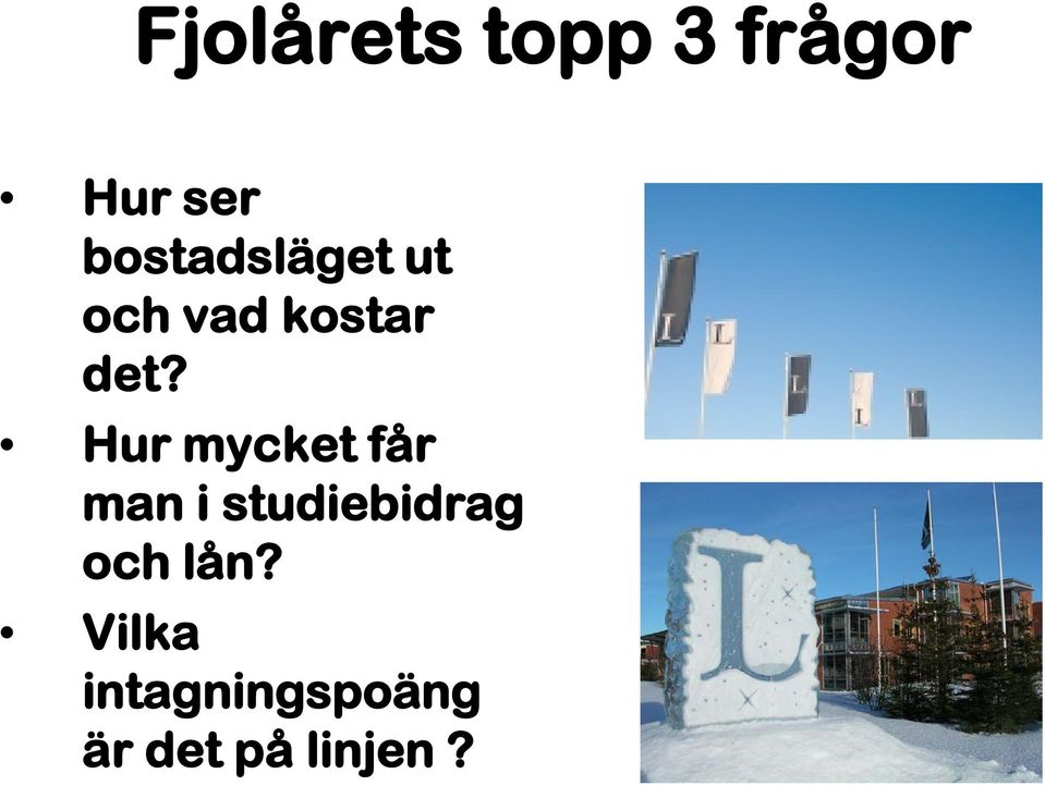 Hur mycket får man i studiebidrag och