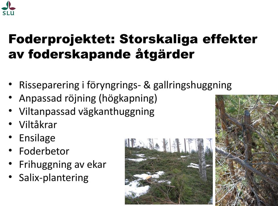 föryngrings- & gallringshuggning Anpassad röjning (högkapning)