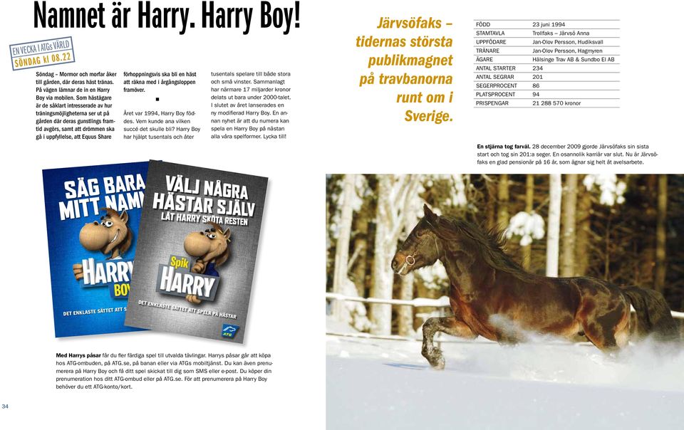 bli en häst att räkna med i årgångsloppen framöver. Året var 1994, Harry Boy föddes. Vem kunde ana vilken succé det skulle bli?