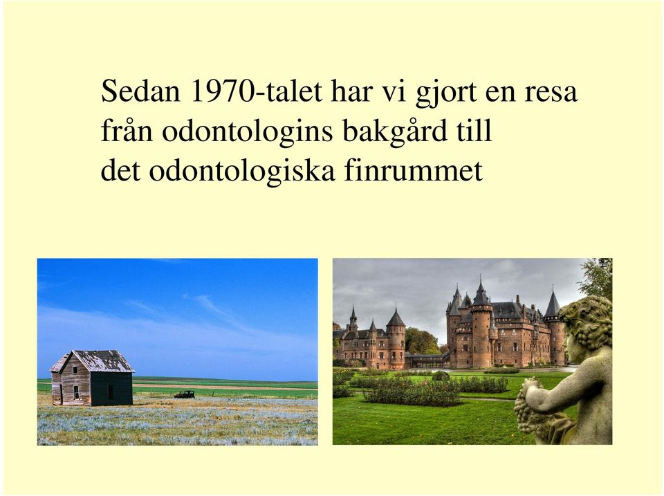 odontologins bakgård