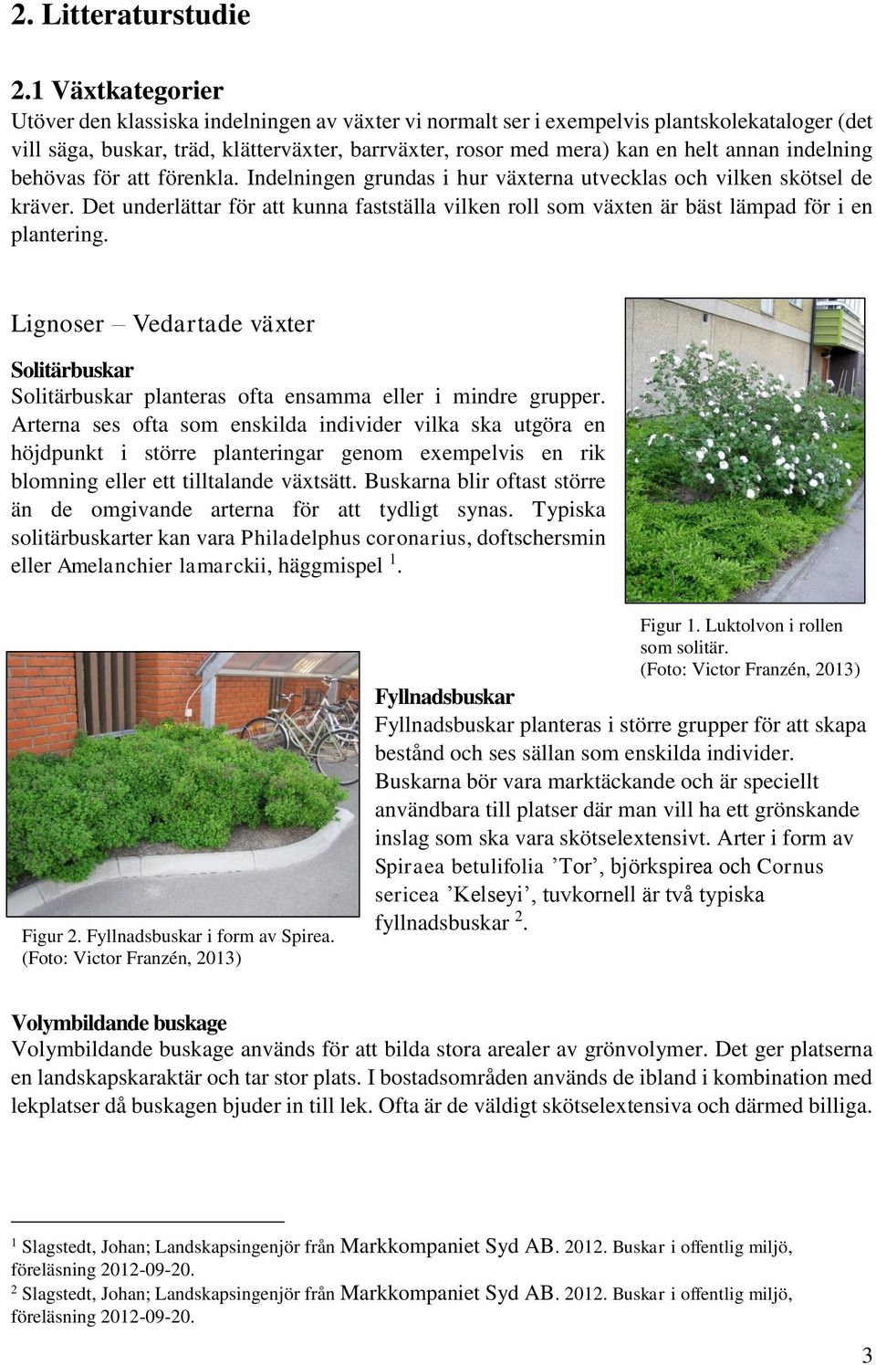 indelning behövas för att förenkla. Indelningen grundas i hur växterna utvecklas och vilken skötsel de kräver.