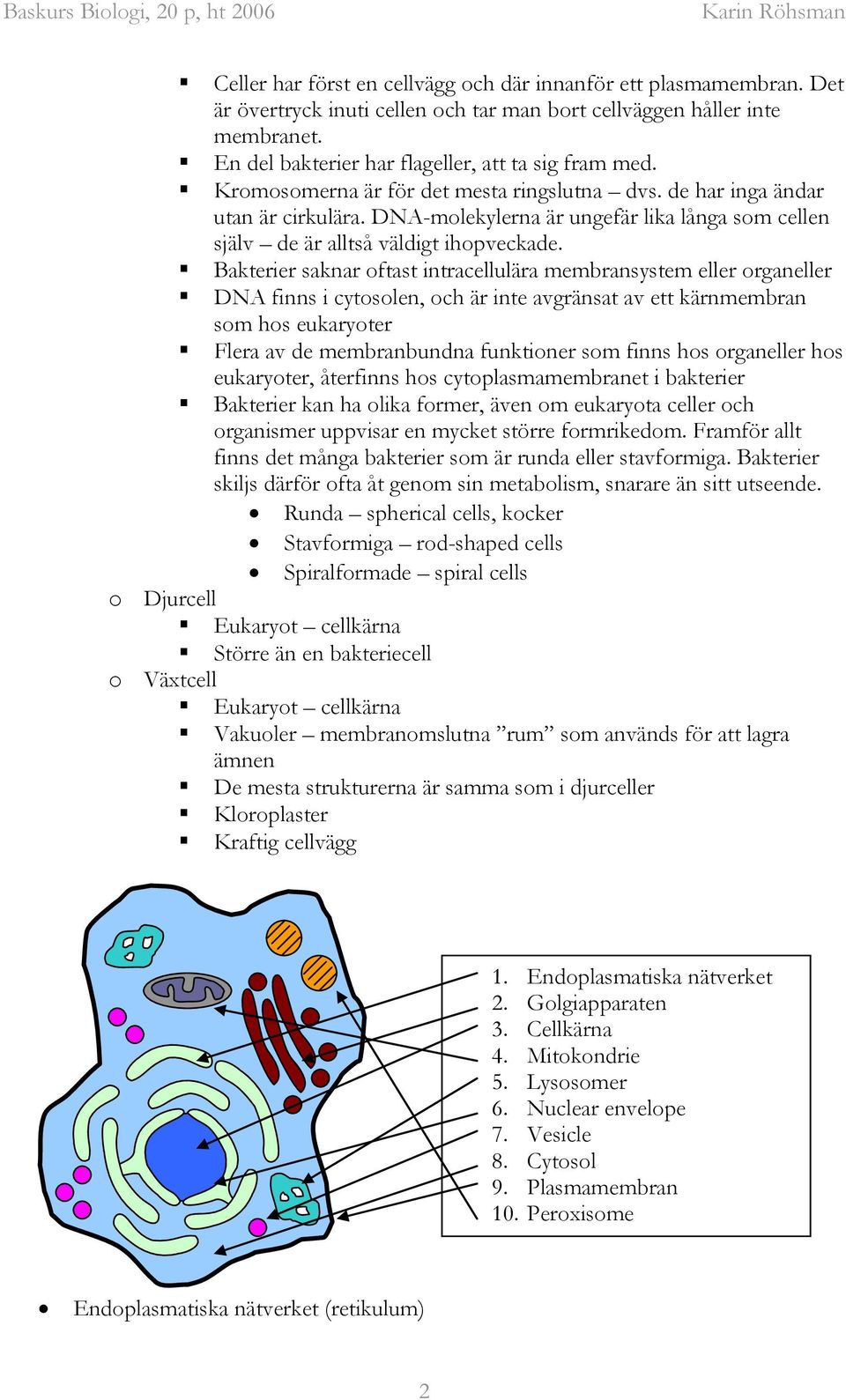 Bakterier saknar oftast intracellulära membransystem eller organeller DNA finns i cytosolen, och är inte avgränsat av ett kärnmembran som hos eukaryoter Flera av de membranbundna funktioner som finns