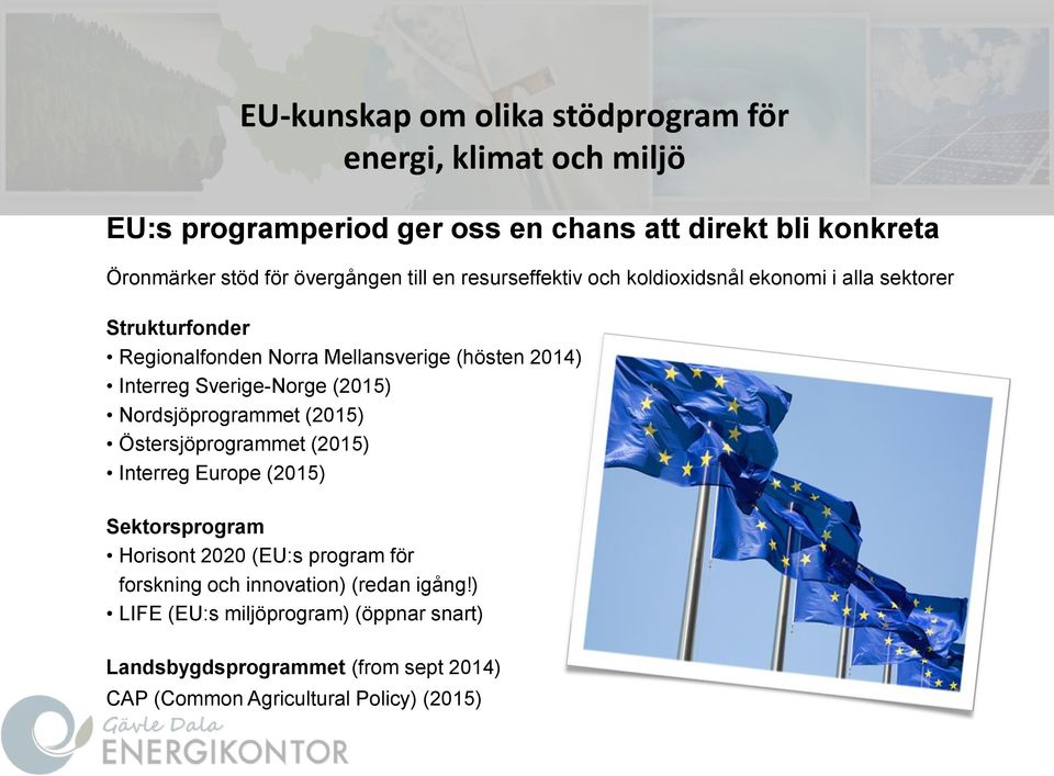Interreg Sverige-Norge (2015) Nordsjöprogrammet (2015) Östersjöprogrammet (2015) Interreg Europe (2015) Sektorsprogram Horisont 2020 (EU:s program