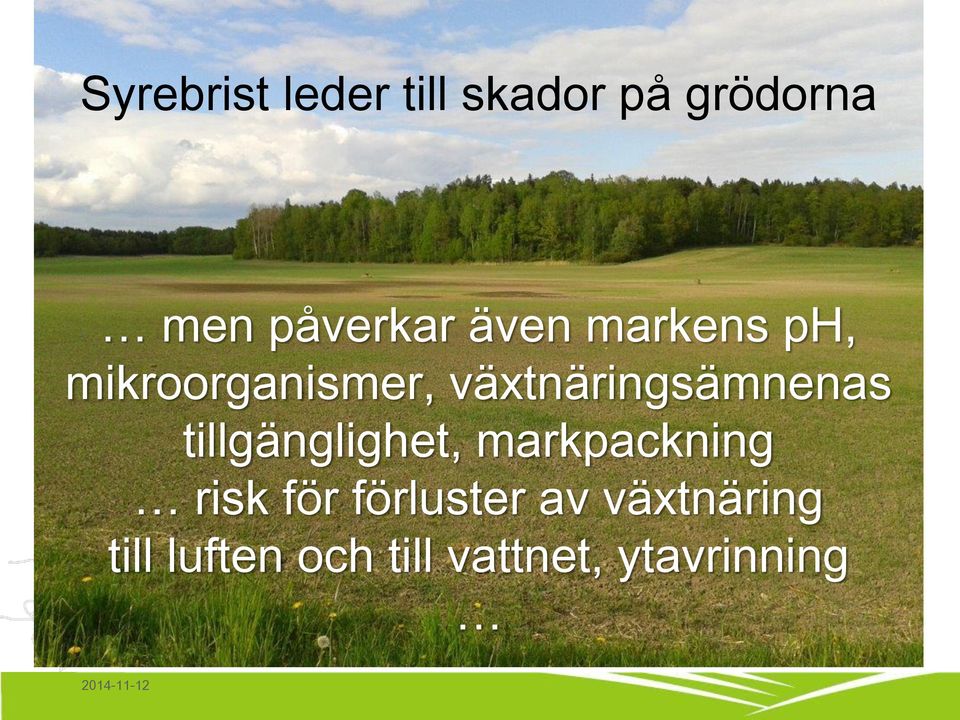 vätnäringsämnenas tillgänglighet, markpackning risk