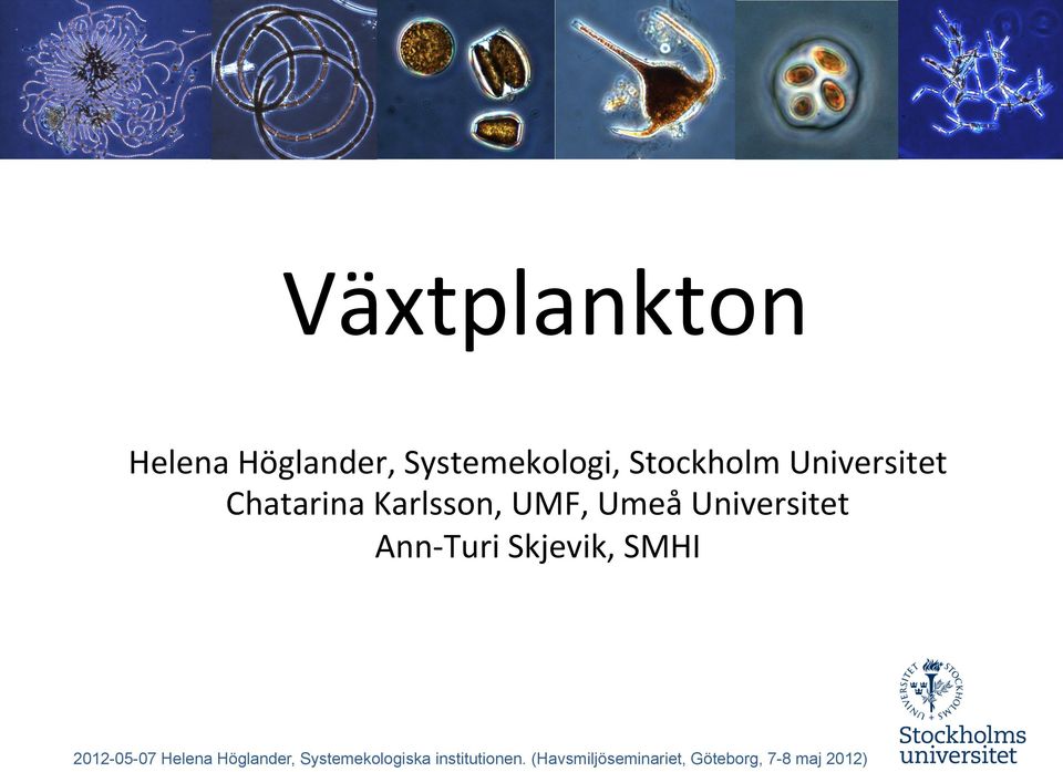 Universitet Chatarina Karlsson,