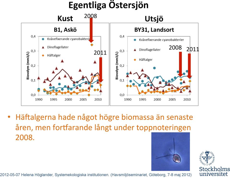 högre biomassa än senaste åren, men