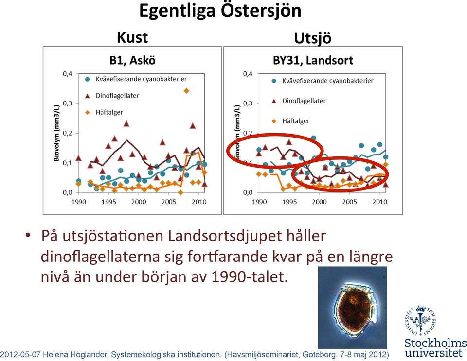dinoflagellaterna sig forvarande kvar