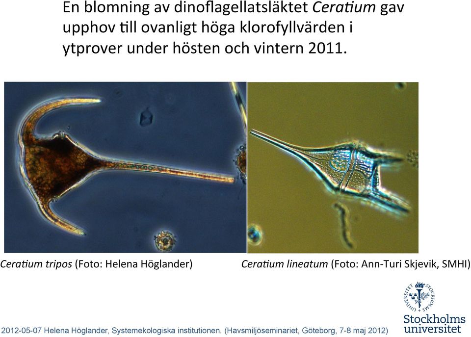 ytprover under hösten och vintern 2011. Cera.